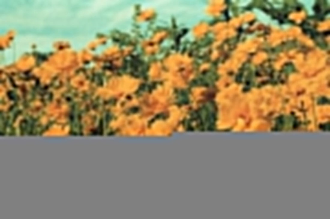 Er sex gott fyri teg? 4 orsøkir tí, at sex er gott fyri teg