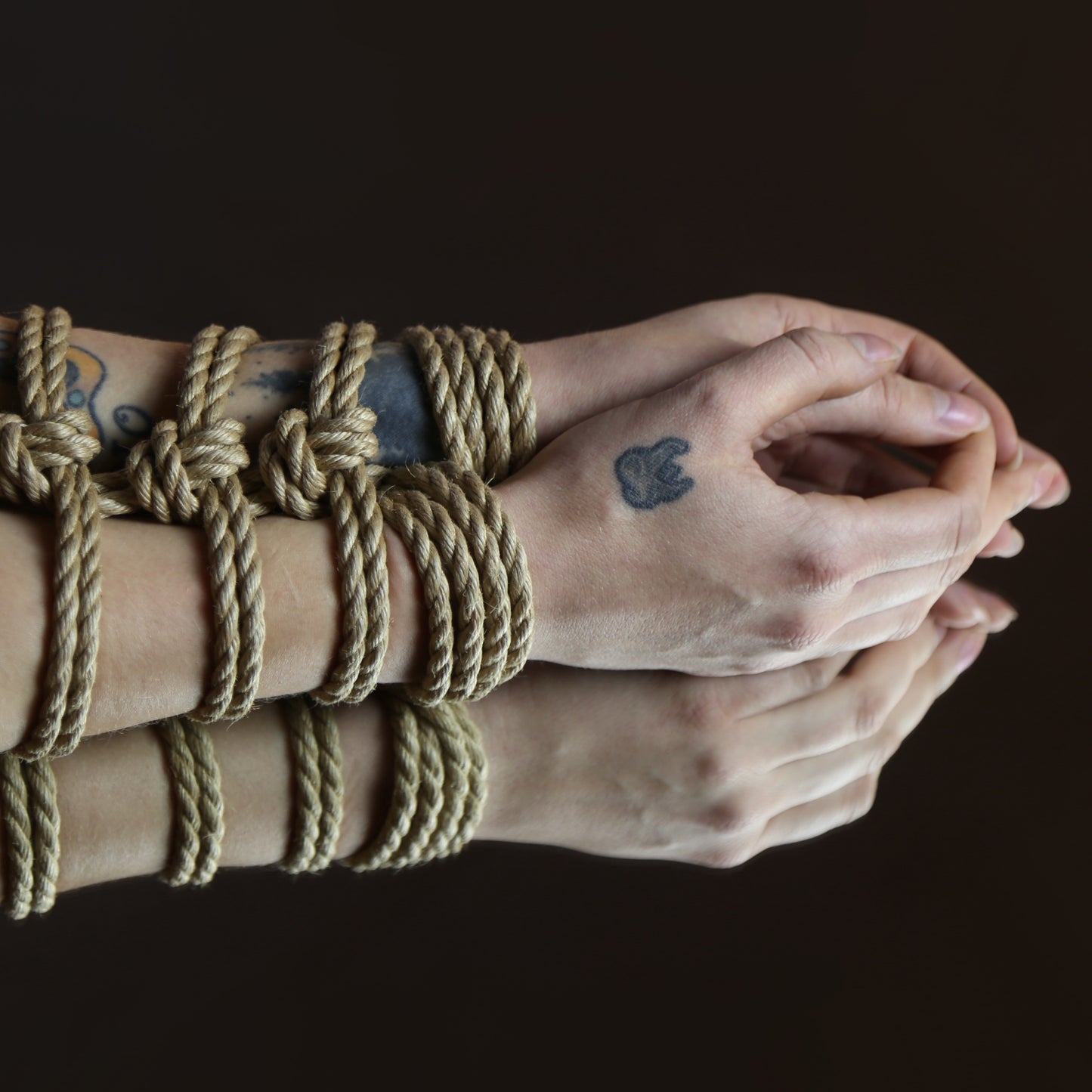 Bondage Reip - Ropes & Riggers