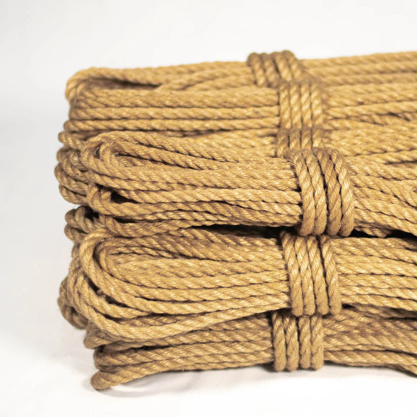 Shibari reip - Anatomie